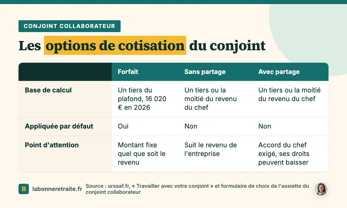 Options de cotisation pour la retraite du conjoint collaborateur : forfait, sans partage ou avec partage